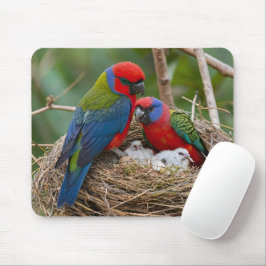 Mousepad Rosella Birds
