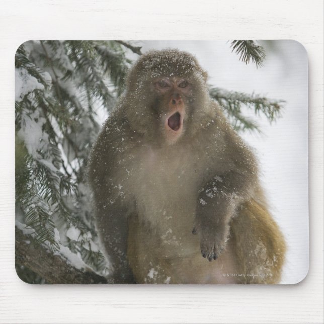 Mousepad Rósio Macaque (Macaca mulata) (Frente)