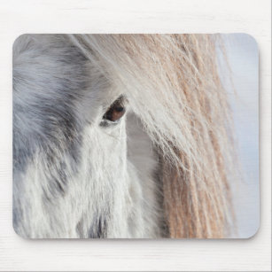 Mousepad Rosto branco islandês dos cavalos, Islândia