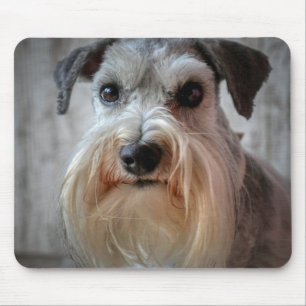 Mousepad Rosto de Cachorro Schnauzer