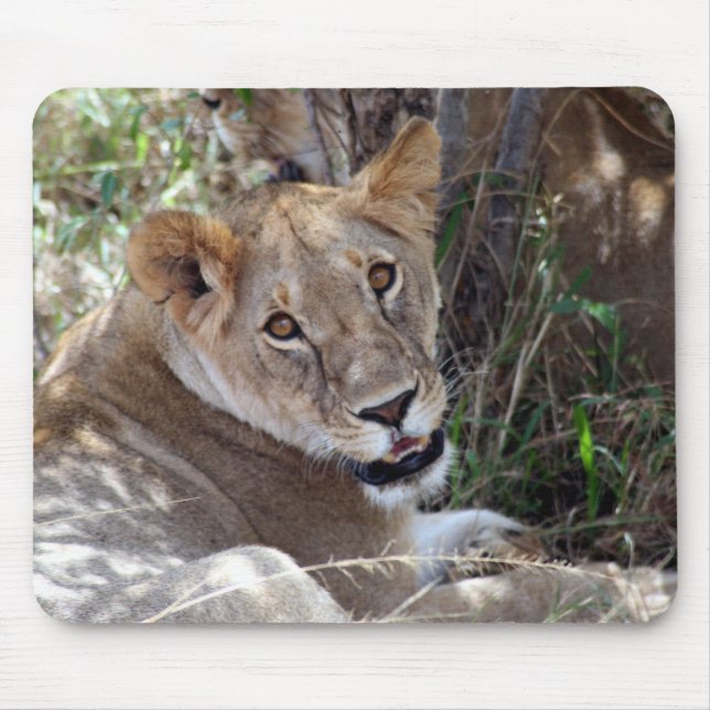 Mousepad rosto de leão (Frente)