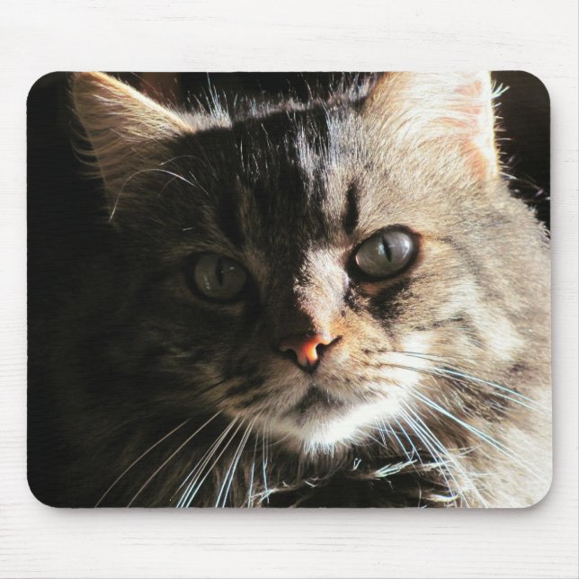 Mousepad Rosto de Maine Coon (Frente)