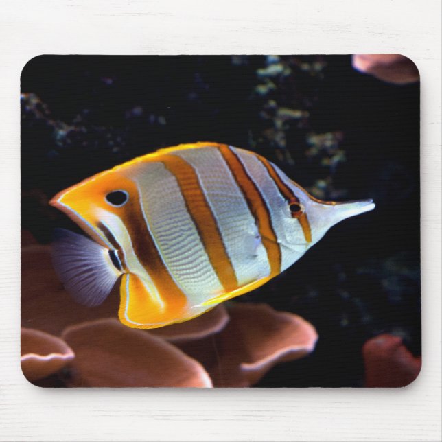 Mousepad Rostrato de melão (Frente)