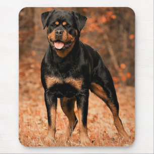 Mousepad Rottweiler - Cão-Pupado