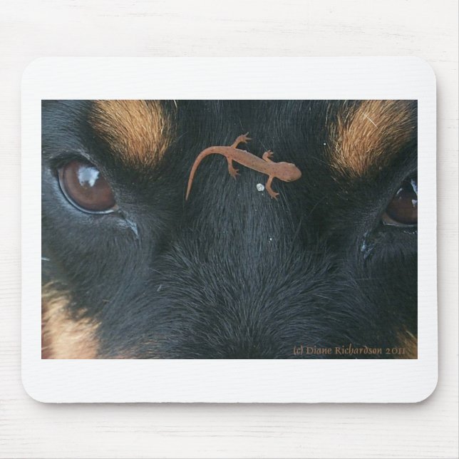 Mousepad Rottweiler e tapete do rato da salamandra (Frente)