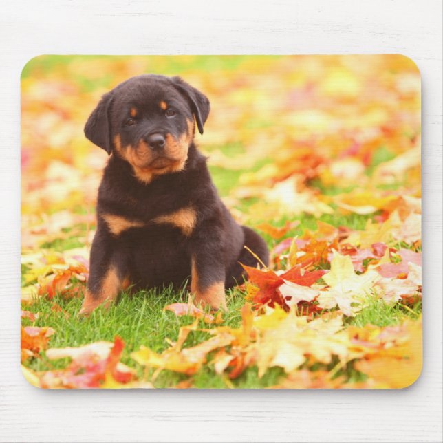 Mousepad Rottweiler Puppy Sentado Nas Folhas De Outono (Frente)