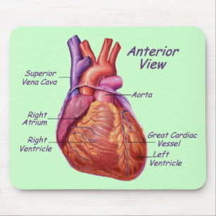 Mousepad Rotulado pelo Coração Humano