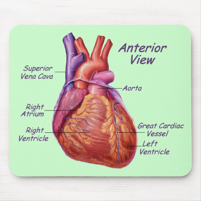 Mousepad Rotulado pelo Coração Humano (Frente)