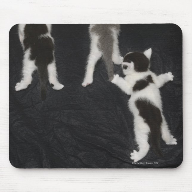 Mousepad Rouco (Frente)