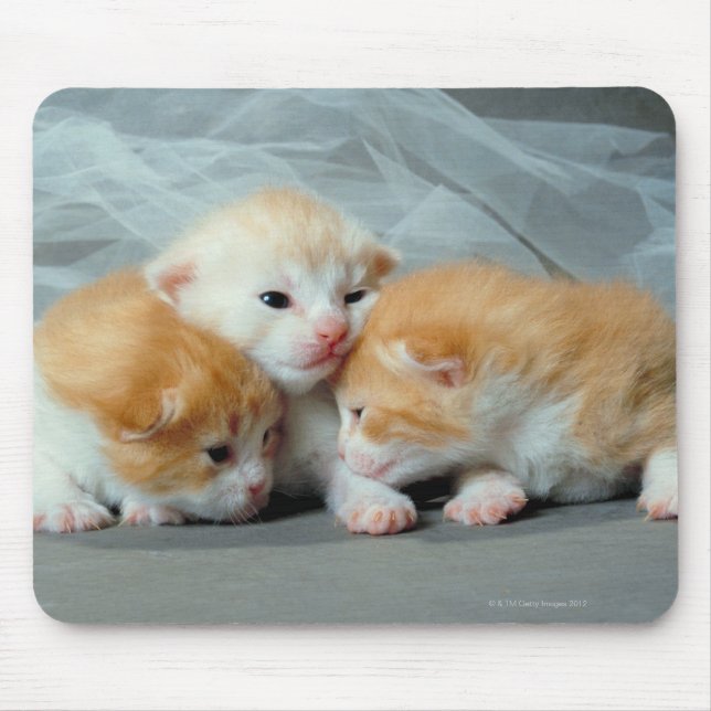 Mousepad Roupas de laranja (Frente)