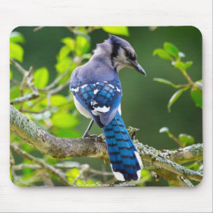 Mousepad Roupas e Presentes de Fotografia da Natureza do Tí