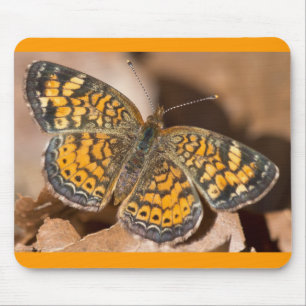 Mousepad Roupas e Presentes de Mariposa Marrom e Laranja