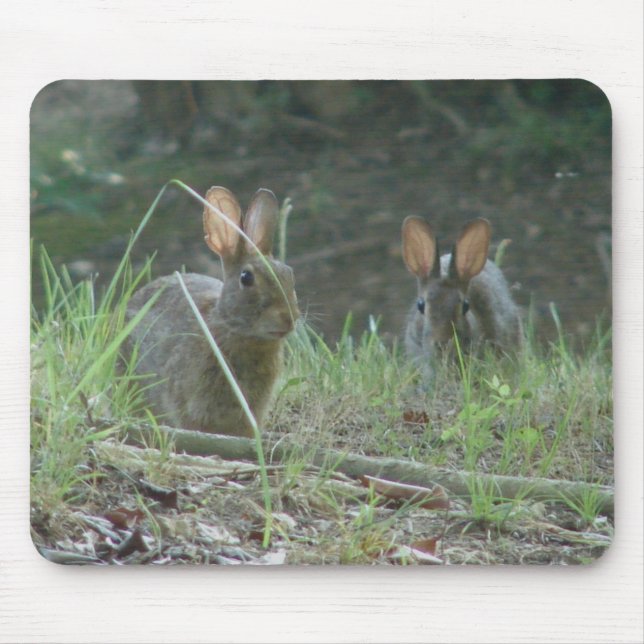 Mousepad Roupas Presentes Par de Coelhos Selvagens Cottonta (Frente)