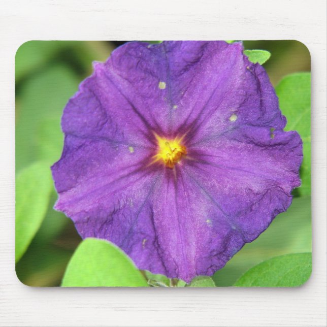 MOUSEPAD ROXO (Frente)