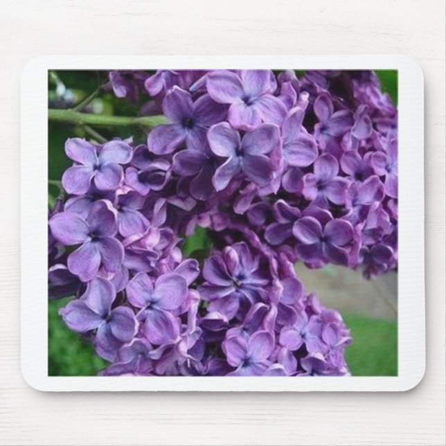 mousepad roxo do lilac (Frente)