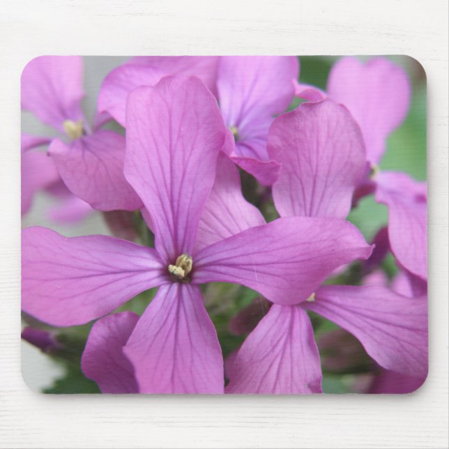 Mousepad Roxo Flores Selvagens (Frente)
