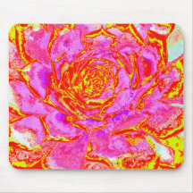 Roxo Quente, Vermelho e Amarelo Suculento Sedum Ro