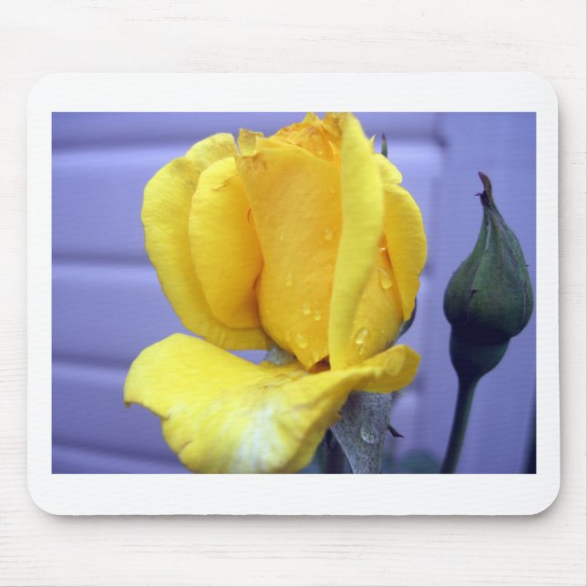 Mousepad Rsoebud Amarelo (Frente)