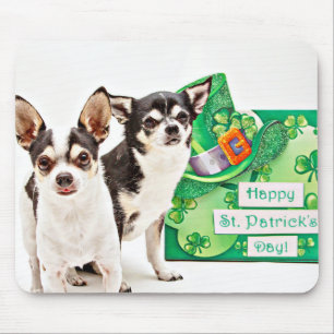 Mousepad Rua do dia de Patrick Chihuahua