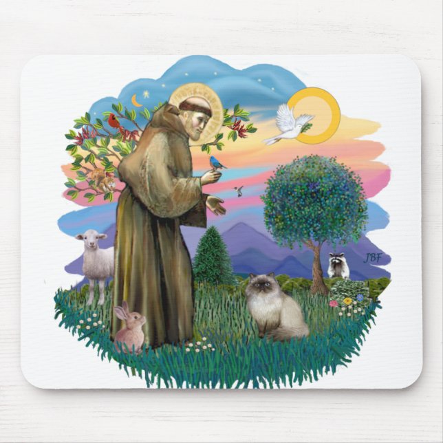 Mousepad Rua Francis (ff) - Gato Himalaio Ponto de Foco (Frente)