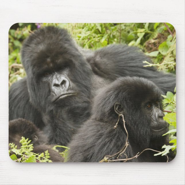 Mousepad Ruanda, Parque Nacional dos Vulcões (Frente)