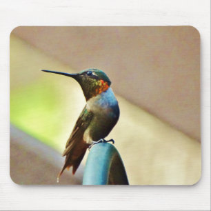 Mousepad Rubi empoleirado e colibri pequeno verde
