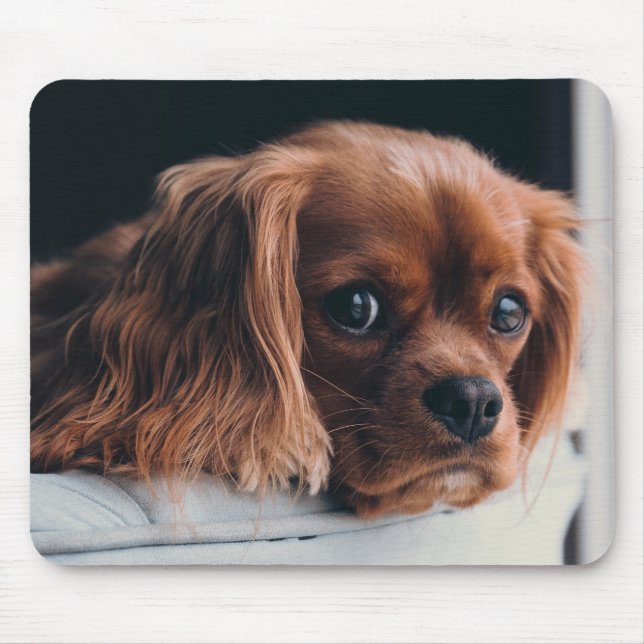 Mousepad Ruby Cavalier King Charles Spaniel Puppy Dog (Frente)