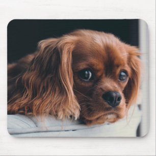 Mousepad Ruby Cavalier Rei Charles Spaniel Cachorro