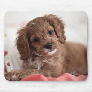 Mousepad Ruby Cavapoo Puppy Dog