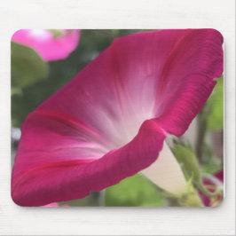 Mousepad Ruby Red Morning Glory Close-up