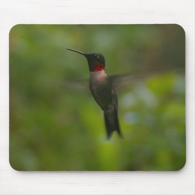 Mousepad Ruby Throat Hummingbird (Frente)