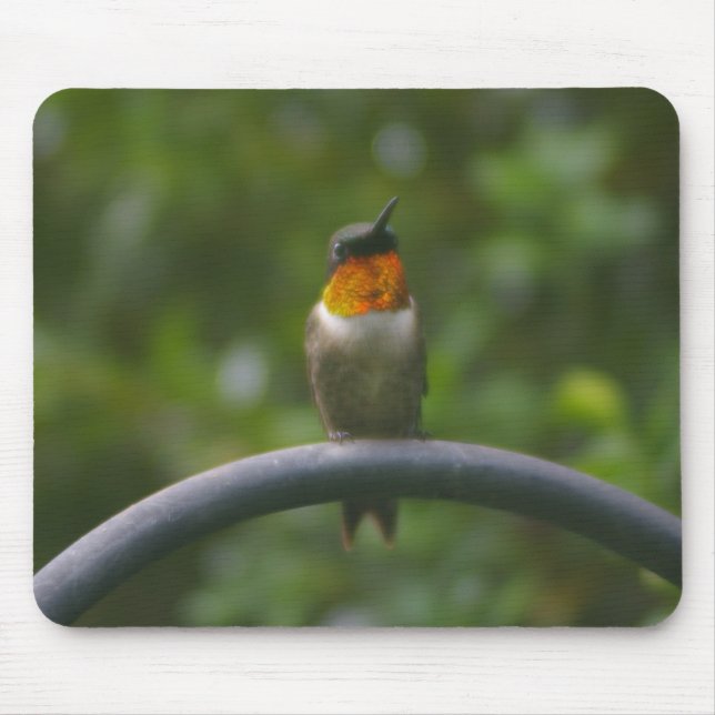 Mousepad Ruby Throat Hummingbird (Frente)