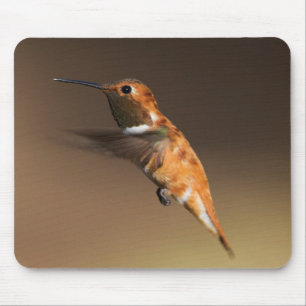 Mousepad Rufous Hummingbird em voo