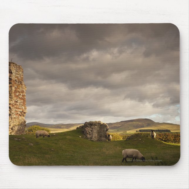 Mousepad Ruínas do castelo de Cessford com os carneiros que (Frente)