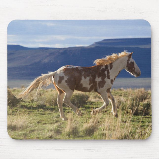 Mousepad Running Stallion, Steens Mountain, Oregon (Frente)