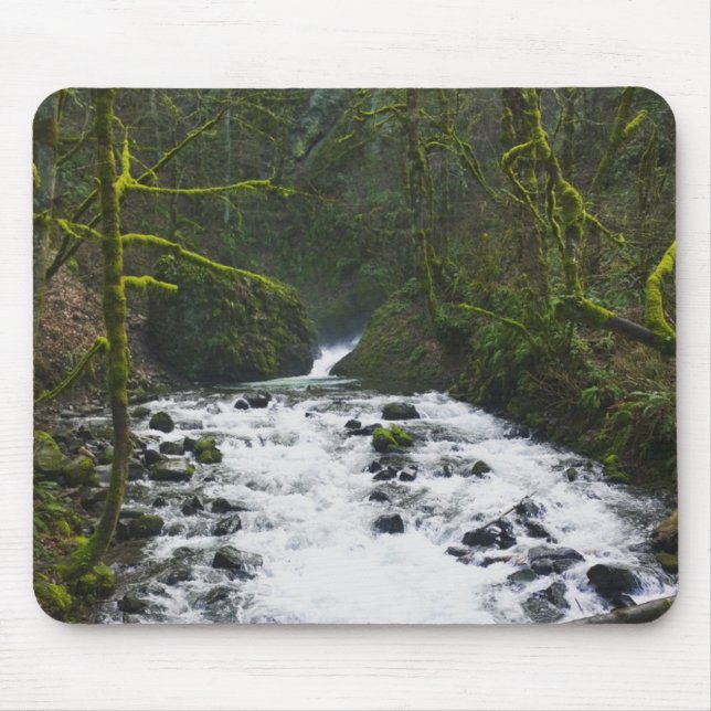 Mousepad Runoff from Bridal Veil Falls, Oregon (Frente)