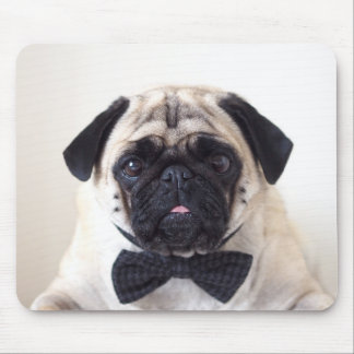 Mousepad Rupert a esteira do rato do Pug