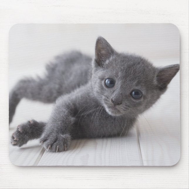 Mousepad Russo Blue Kitten (Frente)