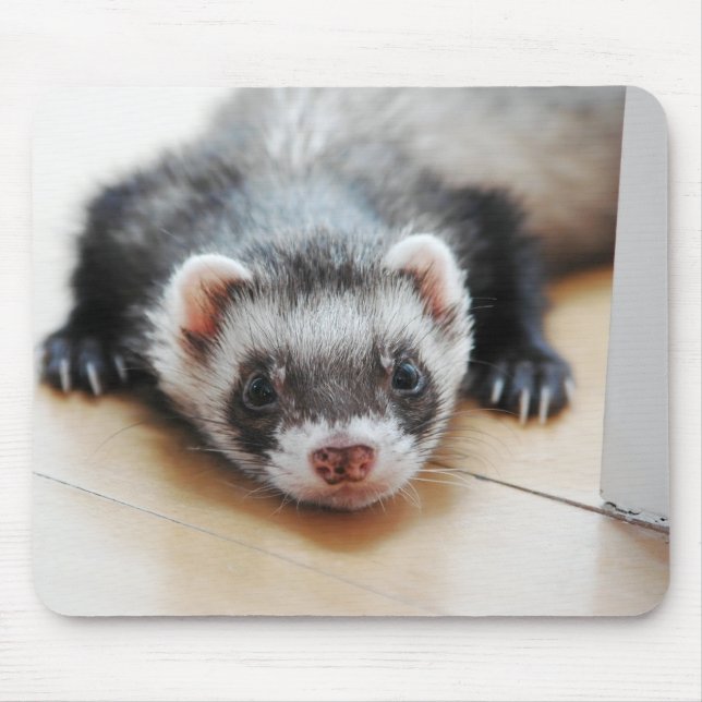 Mousepad Sable Ferret (Frente)