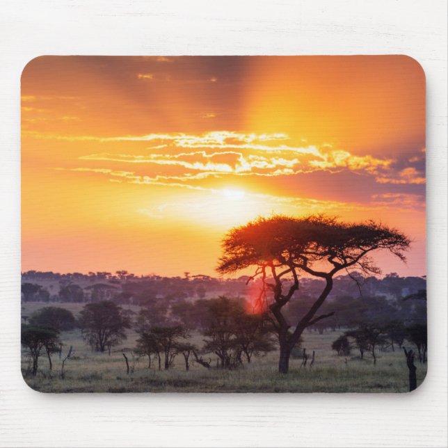 Mousepad Safari no Parque Nacional Serengeti (Frente)