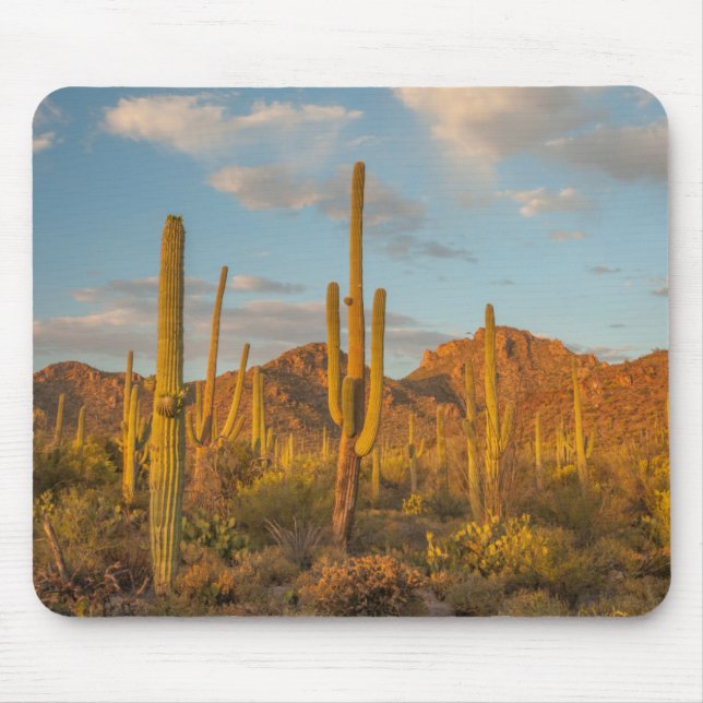 Mousepad Saguaro cactus no pôr do sol, Arizona (Frente)