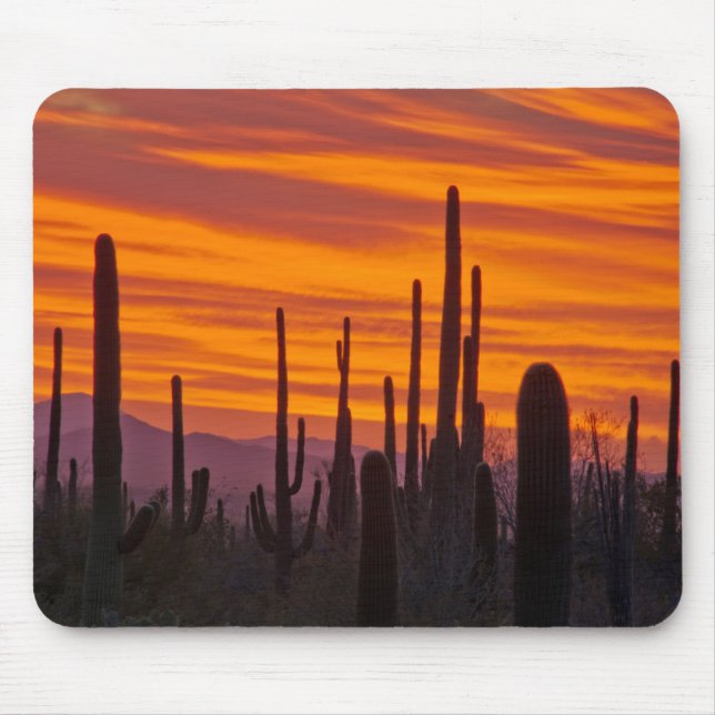 Mousepad Saguaro, pôr do sol, Parque Nacional Saguaro (Frente)
