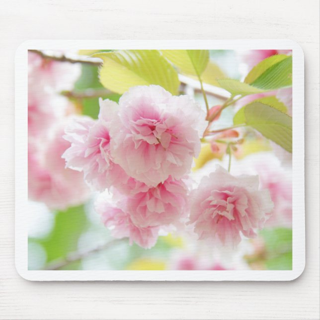 Mousepad sakura (Frente)