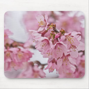 Mousepad Sakura Cherry Blossoms Rosa Pálido