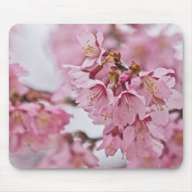 Mousepad Sakura Cherry Blossoms Rosa Pálido (Frente)