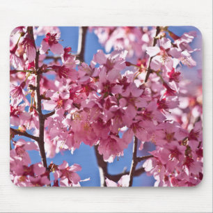 Mousepad Sakura Flores de Cerejeira Estrelas Vermelhas