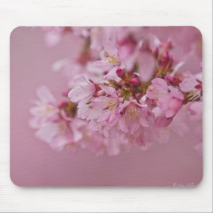 Mousepad Sakura Flores de Cerejeira Rosa Pálido Reflexos