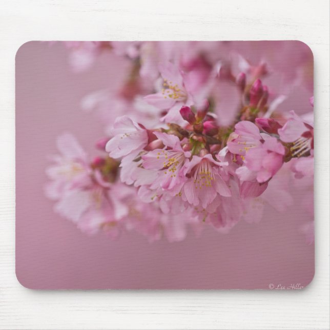 Mousepad Sakura Flores de Cerejeira Rosa Pálido Reflexos (Frente)