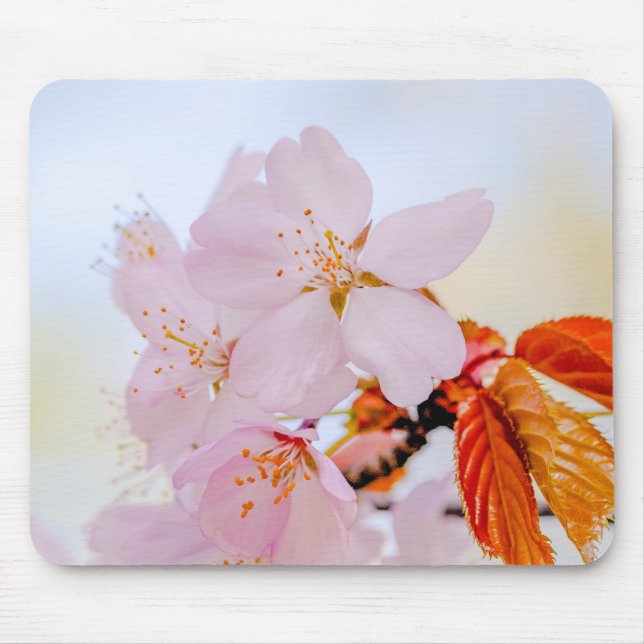 Mousepad Sakura - Japanese cherry blossom (Frente)