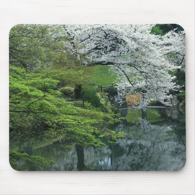 Mousepad Sakura, Koishikawa Koraku-en Garden, Tóquio, (Frente)